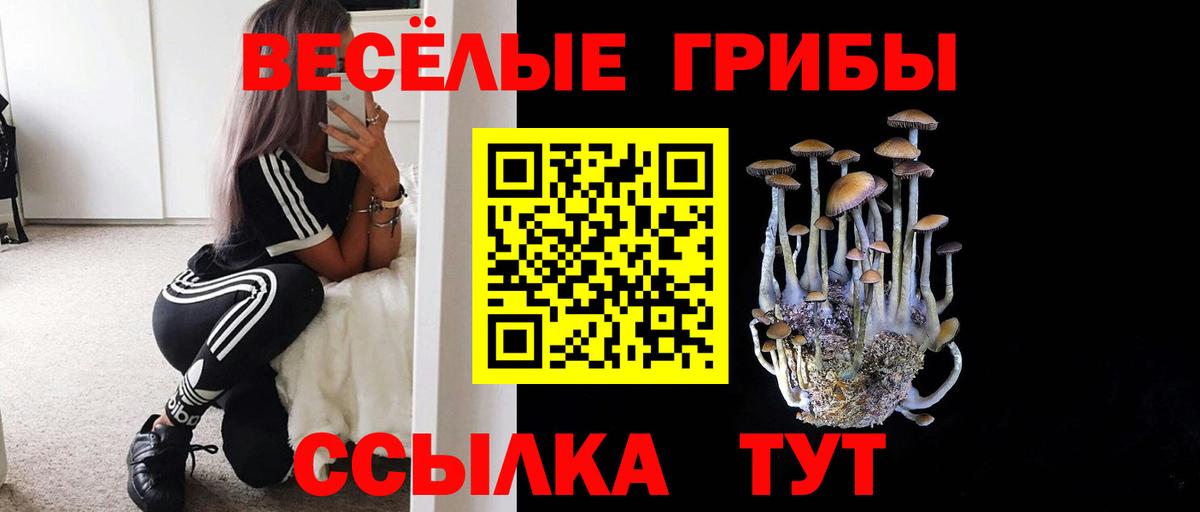 Псилоцибиновые грибы Psilocybine cubensis  Вход с VPN  Псилоцибиновые грибы ЛСД  Богородицк 