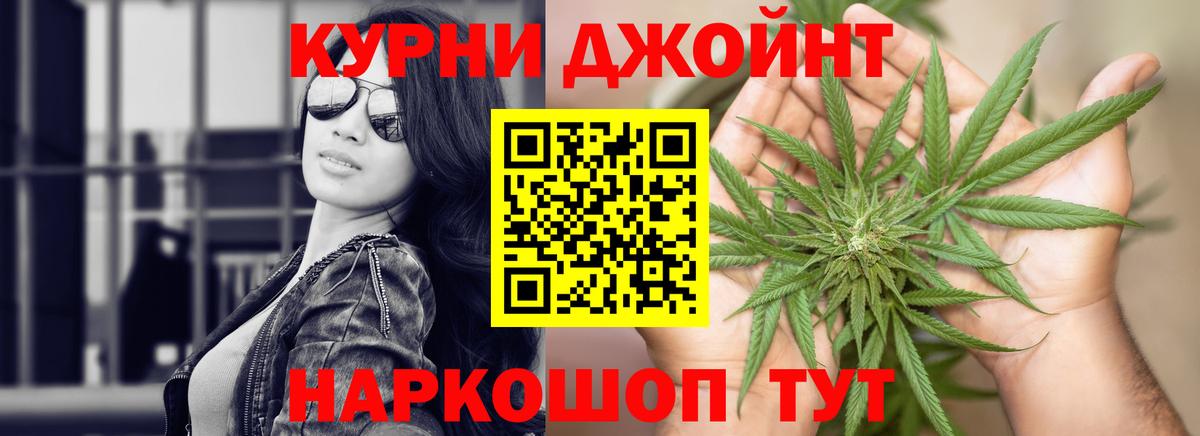Бошки Шишки планчик Богородицк